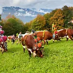 Hindenburglinde 4*